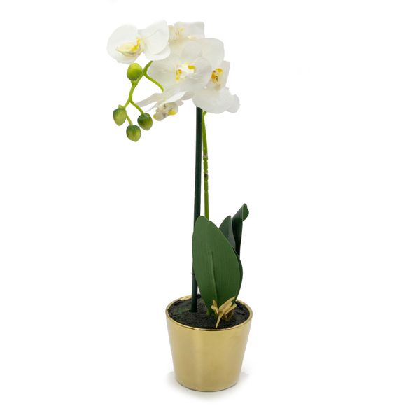 Artificial orchid in Black Pot