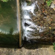 Phosphenes (CD / Album)