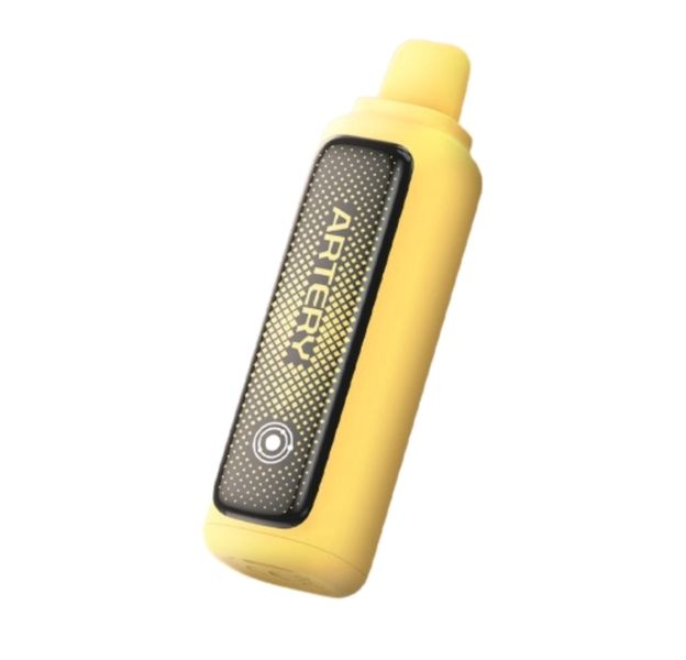 Artery CL2 10000 Puffs Disposable Vape - Mango Peach Watermelon (Pack of 4)