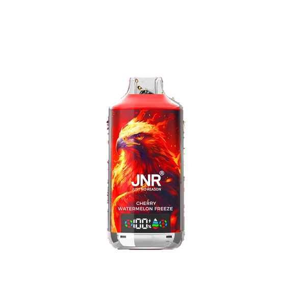 Jnr Falcon-X 18000 Puffs Cherry Watermelon Freeze Disposable Vape