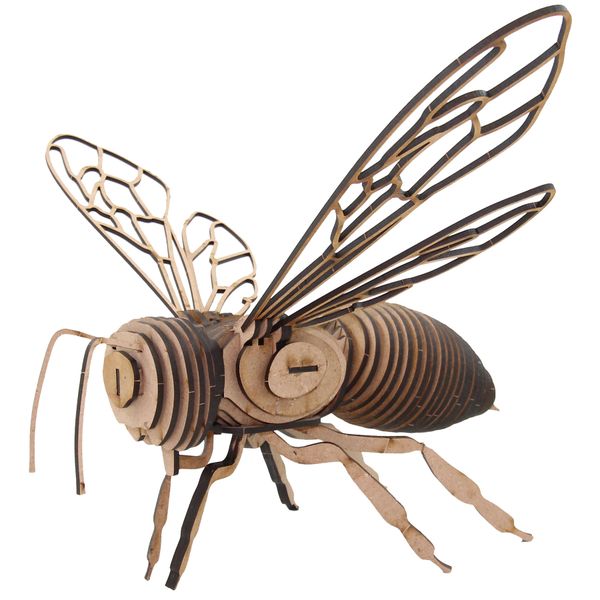 Wow We - 3D Wooden Models - 3D Puzzle - Insect Western Honey Bee