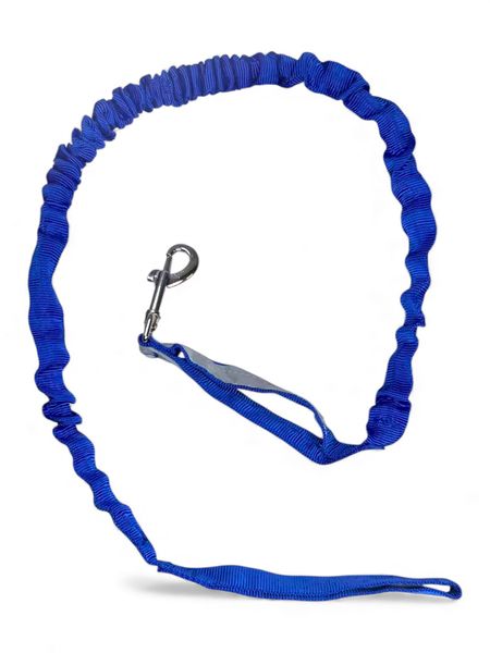 Stretch Dual-Elastic Pet Leash with Shock Absorption