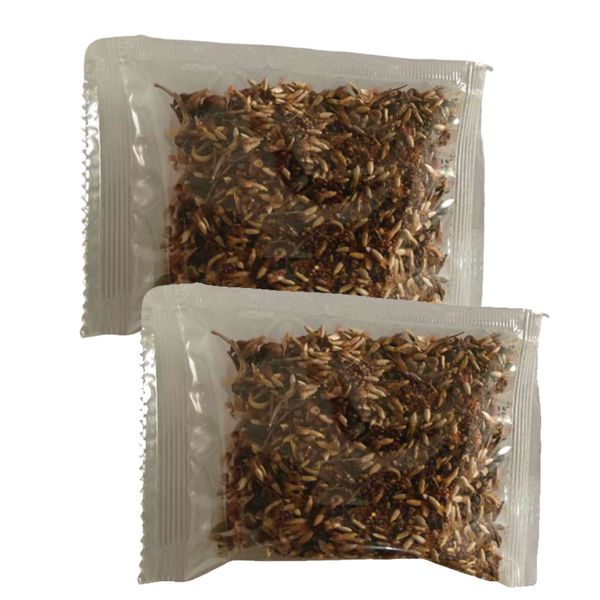 2,000 Fuchsia Seeds - 4 Season Wildflower Seeds