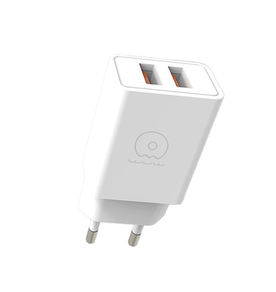 wuw 3.1A wall charger adapter fast charging dual USB C155