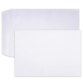 Leo Envelope - White Self Seal Envelopes , Box 0f 250 | Shop Today. Get ...