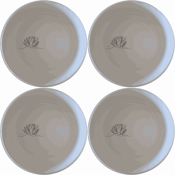 Karoo Desert Landscape Succulent Plants Bowl Set of 4 - Range 1