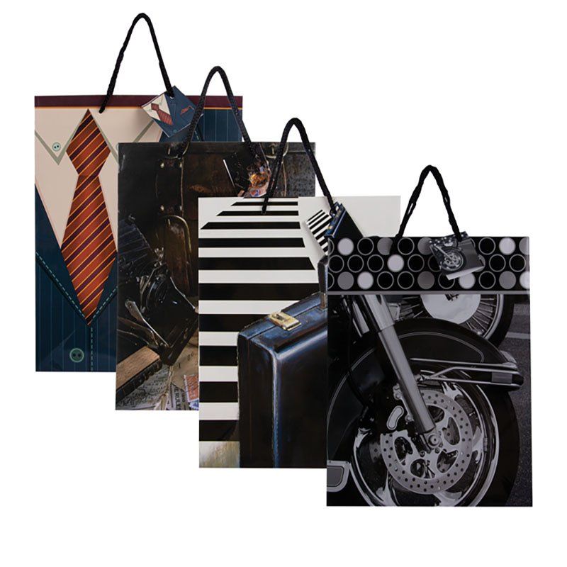 Set of 8 Large Man's Gift Bag 25x32cm Shop Today. Get it Tomorrow