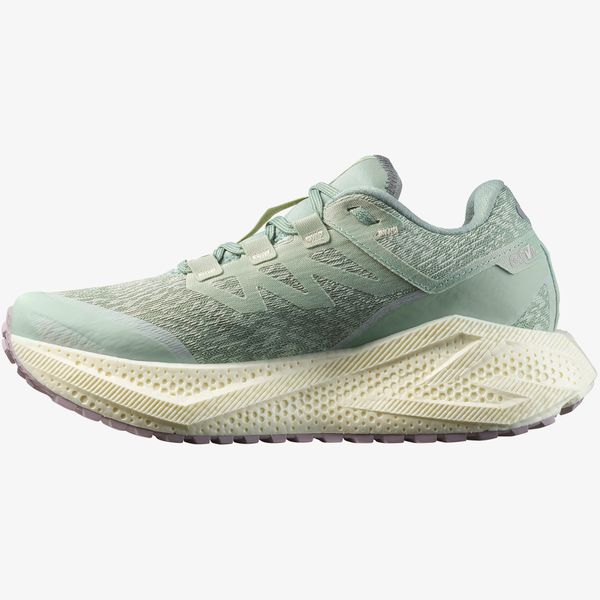 Salomon Women's Aero Glide 3 Gravel Running Shoes