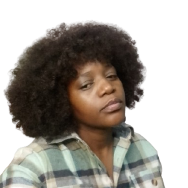 Synthetic Hair Afro Kinky Wig