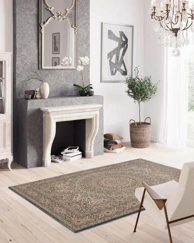 Rug Warehouse Hanna Medallion Grey Shop Today. Get it Tomorrow
