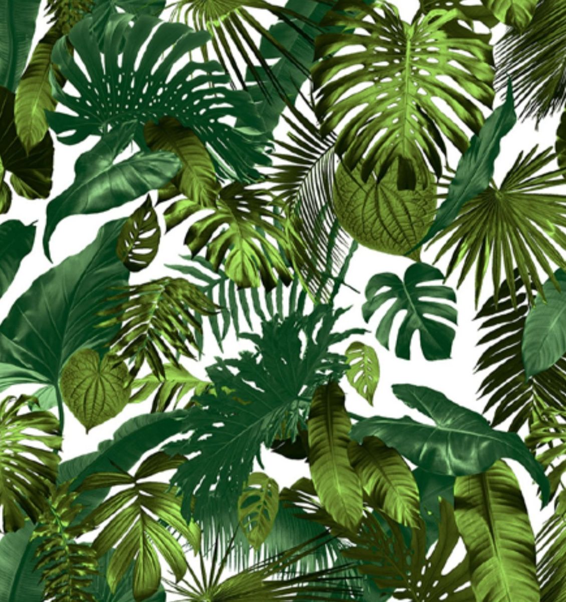 Botanical Design Wallpaper Shop Today. Get it Tomorrow!