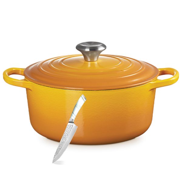 22cm - Enameled Hot Selling Cast Iron Casserole pot with Utility Knife