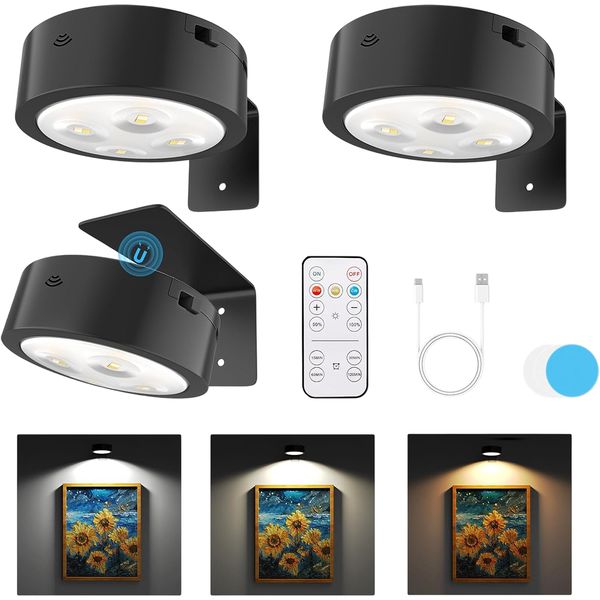 3 Pack Picture Lights for Wall, Picture Frame lights with 3 Lighting Modes