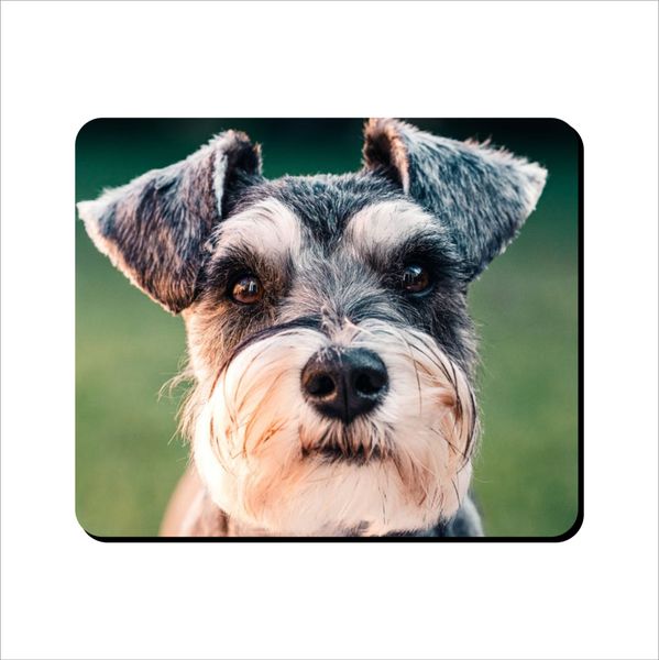 Mouse Pad - Scottie Looking