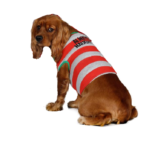 Christmas Outfit for The Dog
