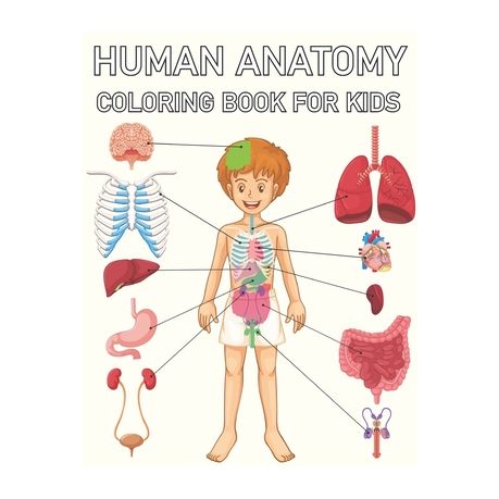 online anatomy coloring pages