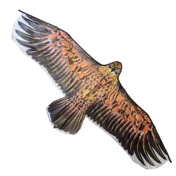 Eagle Hawk Bird Kite - Realistic Flying Bird Kite for Kids &amp; Adults