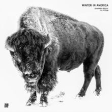 Winter in America (Feat. Fetsun) (Vinyl / 12" Album)