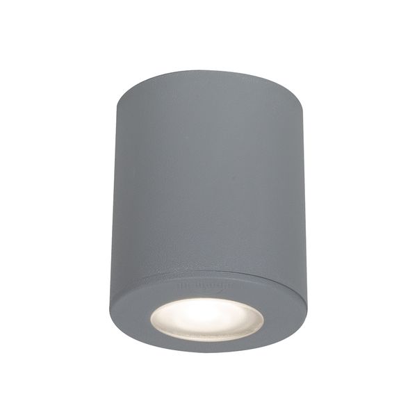 Fumagalli Franca 90 - Outdoor - Ceiling Light - Grey
