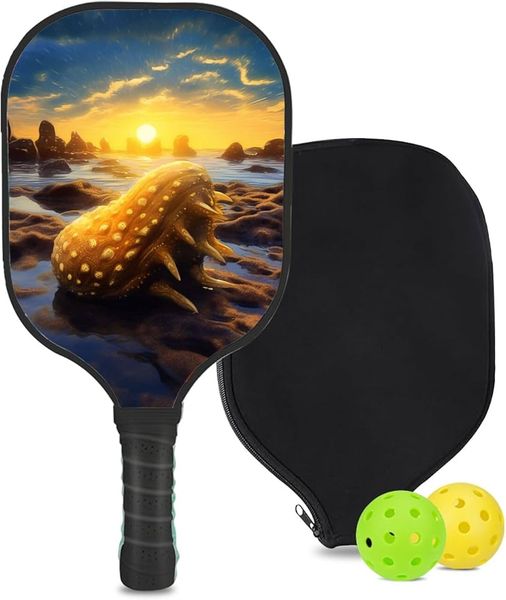 Standard Pro Outdoor Pickleball Set Of 2 Balls And 1 Paddle