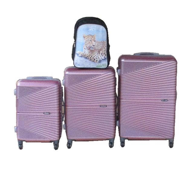 Pink 3-Piece ABS Luggage Set + Leopard Print Backpack