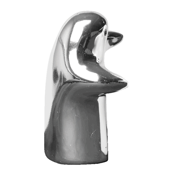 Salt and Pepper Shaker