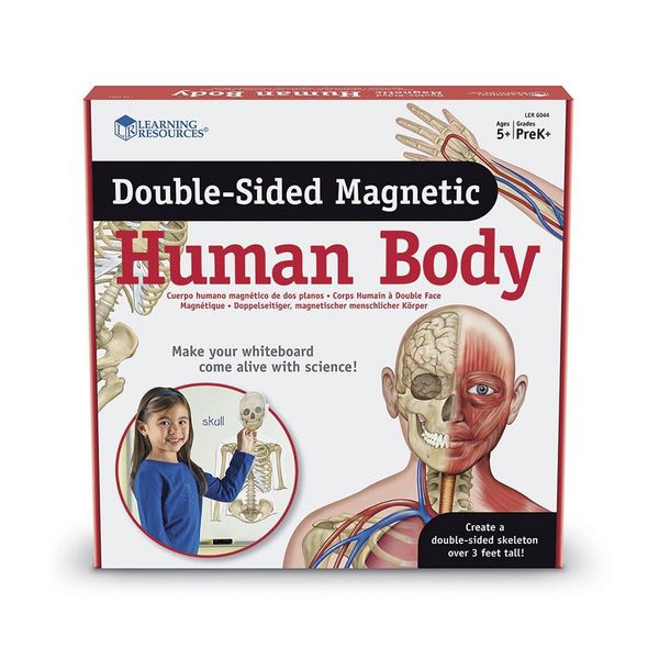 Learning Resources Double-Sided Magnetic Human Body Demonstration Set