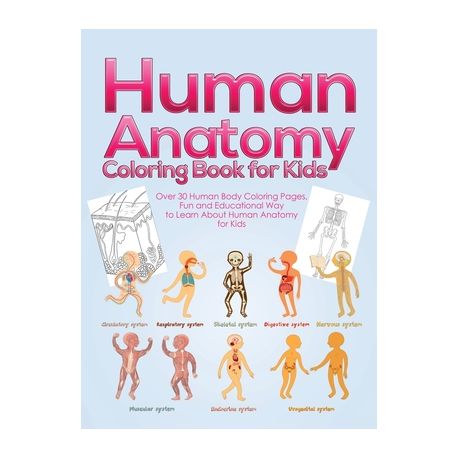 Download Human Anatomy Coloring Book For Kids Over 30 Human Body Coloring Pages Fun And Educational Way To Learn About Human Anatomy For Kids For Boys Gi Buy Online In