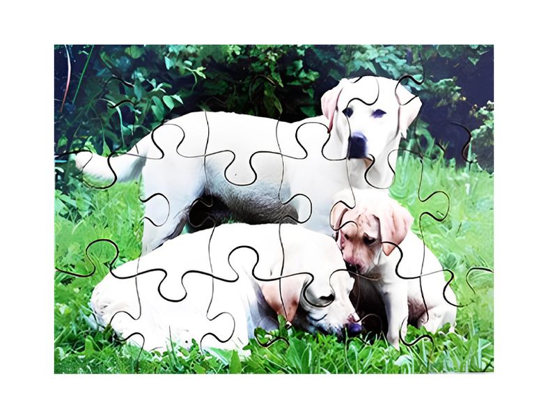 Interlocking Puz- Farm Animals &amp; Their Y