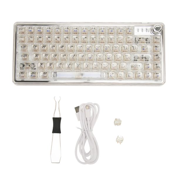 Hot Swappable RGB Keyboard Transparent, Knob, PC