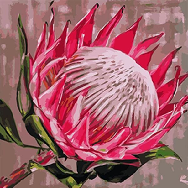 Adult Paint by Numbers with Frame - King Protea, Iconix