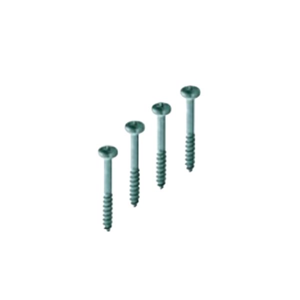 Gewiss - Kit of 4 Screws