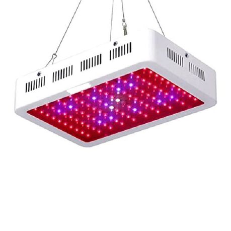 1000 LED Full Spectrum Indoor Grow Medicinal Veg Flower Light