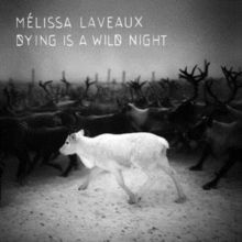 Dying Is a Wild Night (CD / Album)