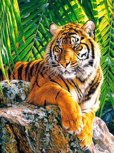Diamond Dot Painting With Frame - Tiger Resting On A Rock
