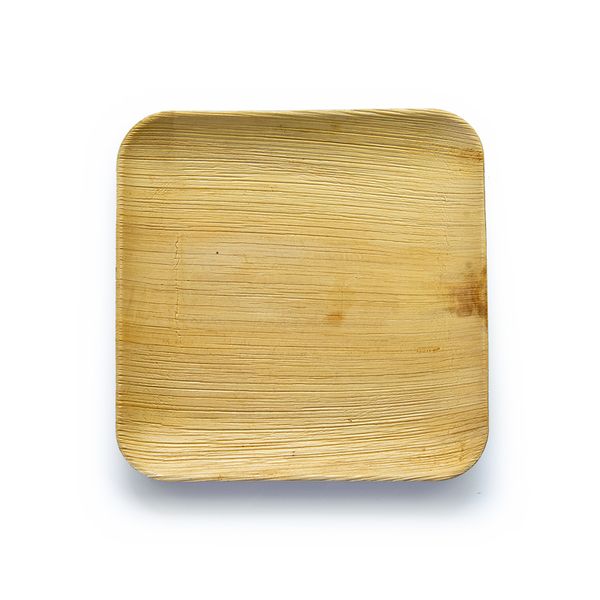 Organic Disposable Areca Leaf Square Dinner Plates - 6 piece