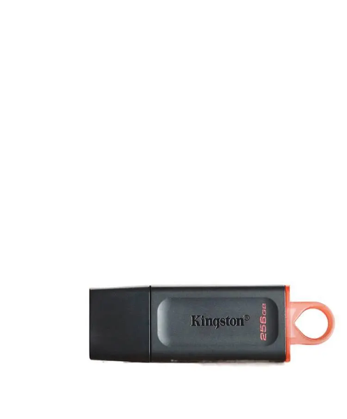 Kingston USB Flash Drive DTX High-Speed Large-Capacity USB Drive 256GB