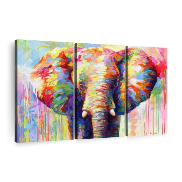 Canvas Wall Art Decor: 3-Piece The colourful Elephant II Canvas Print
