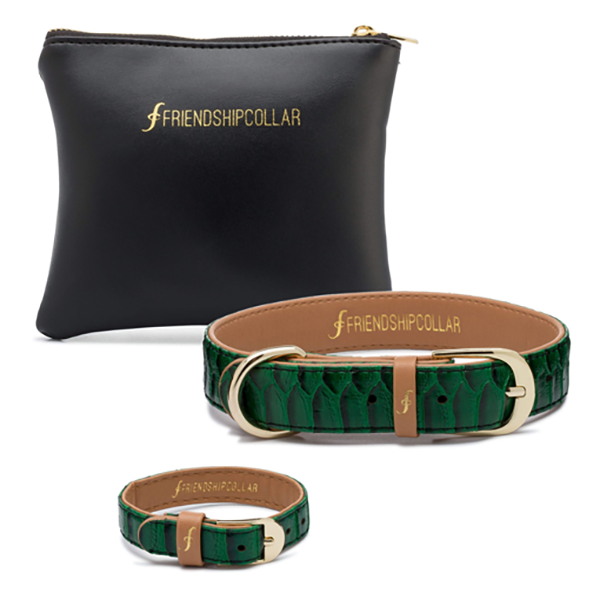 Friendship Collar Emerald Green Shop Today. Get it Tomorrow