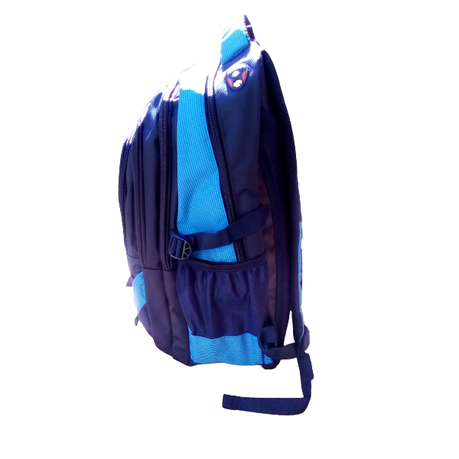 Dsi school online bags