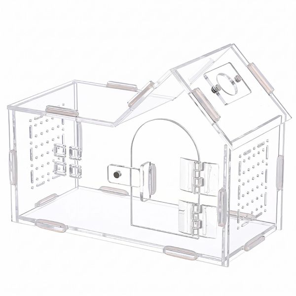 Acrylic Jumping Spider Enclosure with Magnetic Door
