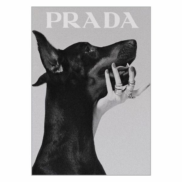 Prada Dog Poster - A1