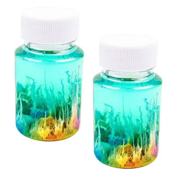 Toy Water Garden Magic Stone Educational Experiment Material Kit 2 Piece