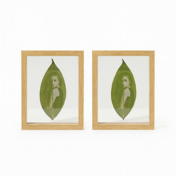 2 Piece - Double-Sided Glass Plant Specimen Frame - Natural Wood
