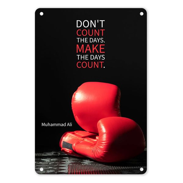 A4 Metal/Tin Poster - Don't Count the Days, Make The Days Count | Motivation