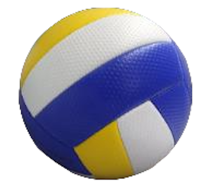 Volleyball Standard Size