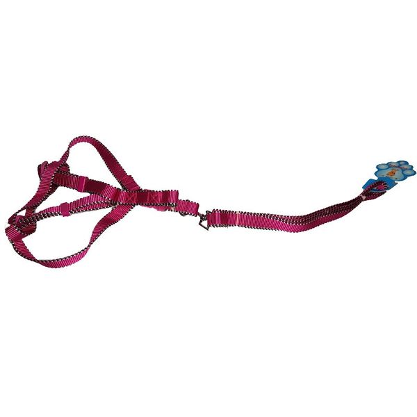 Racing Stripe Adjustable Pet Leash With Harness 90cm - TP180710021