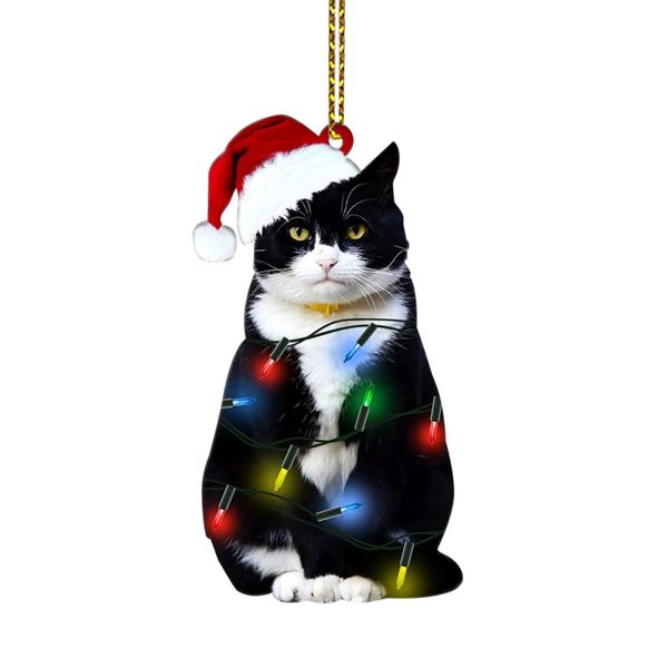 Light Strip Cat image
