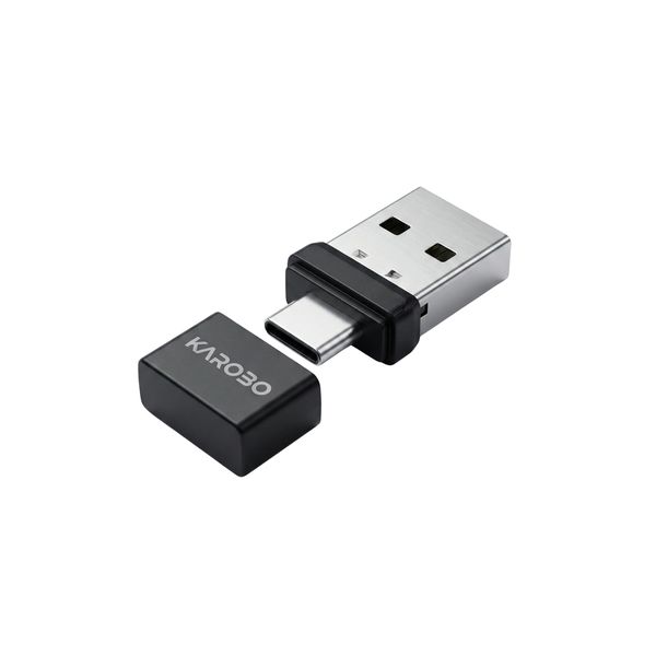 2-in-1 Mouse Jiggler USB &amp; USB-C | Undetectable, Plug-&amp;-Play Mouse Mover