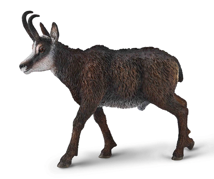 Wildlife Large Chamois